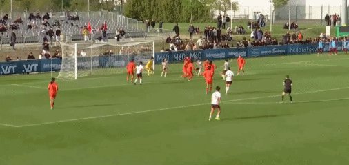 1775411975195004551.gif 2.gif